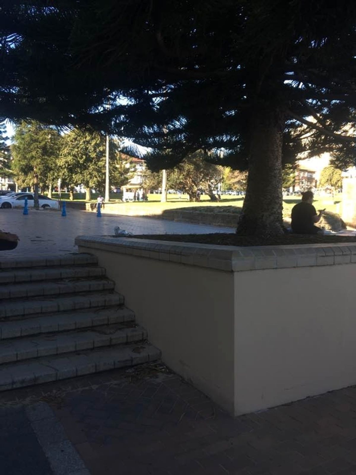 Coogee Out Ledge skate spot