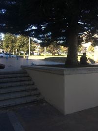 Coogee Out Ledge