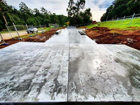 Cockatoo Bowl New photo 3