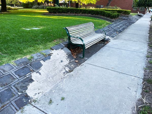 Dame Melba Bench