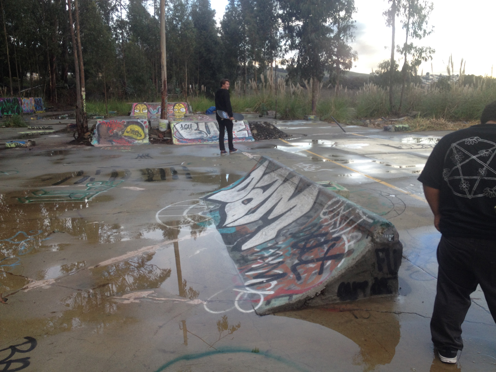 Cow Palace DIY Ghetto Park