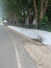 Crabbes Ditch