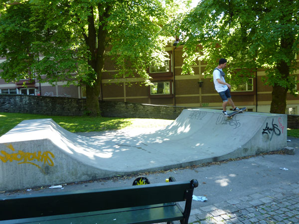 Dahls Gate Mini Ramp