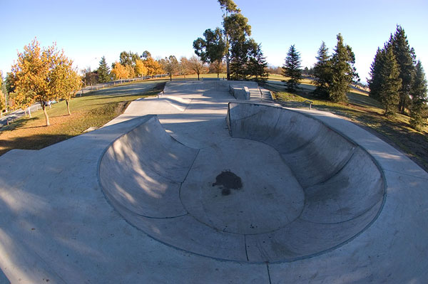 Darfield Skatepark