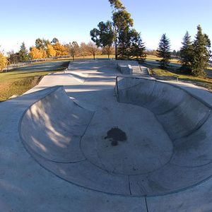 Darfield Skatepark
