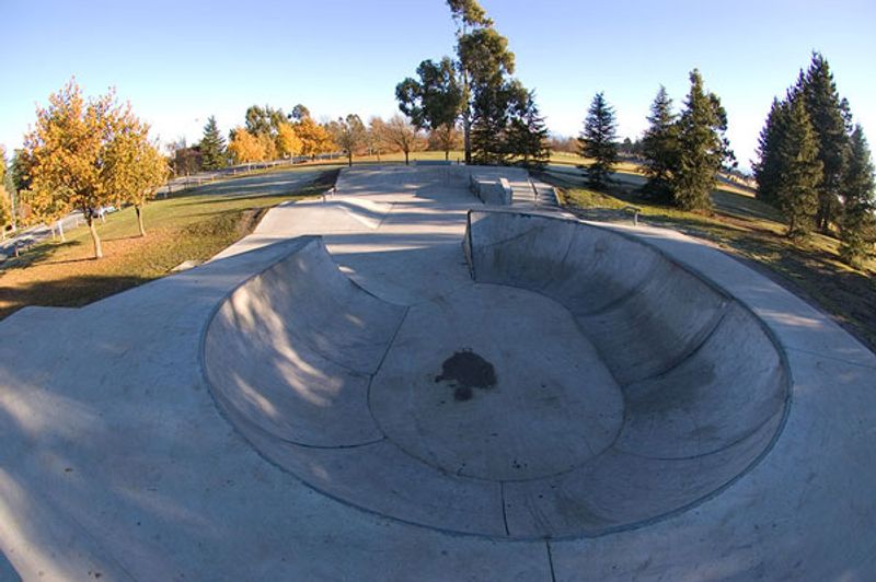 Darfield Skatepark