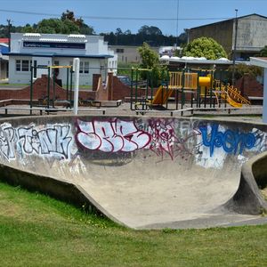Dargaville Bowl 
