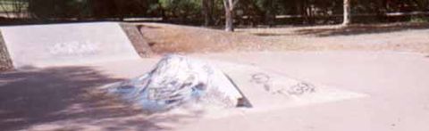 Water Gardens Skatepark photo 4