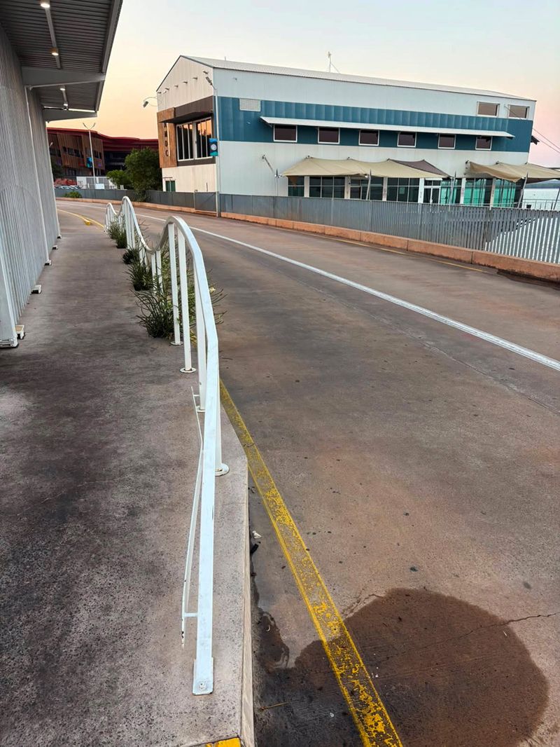 Darwin Roller Coaster 