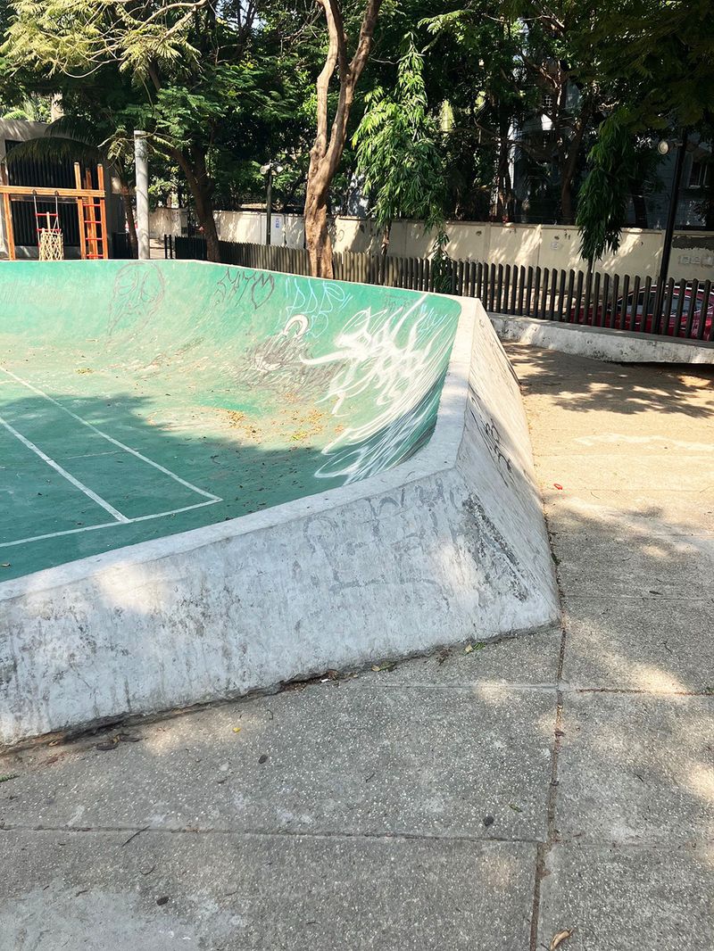 Banani Skatepark 