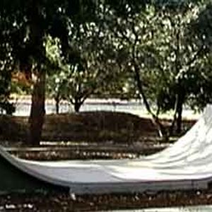 Dickson Mini Ramp