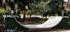 Dickson Mini Ramp