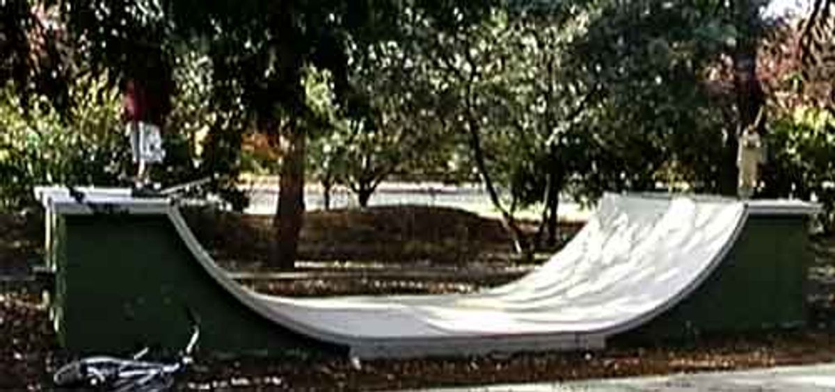 Dickson Mini Ramp skatepark