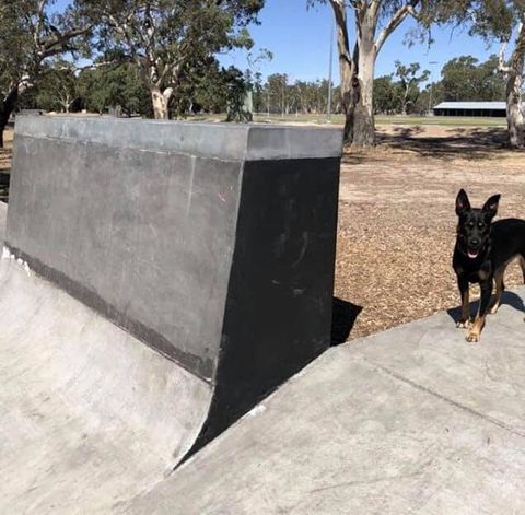 Dimboola Skatepark photo 7