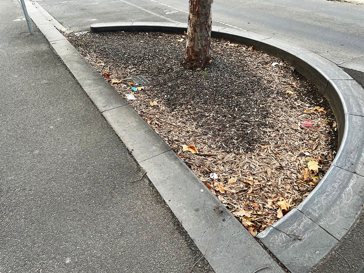 Docklands Park Curved Curb skate spot