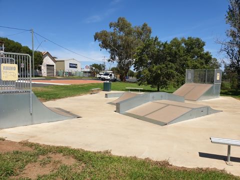 Dunedoo Skatepark photo 2