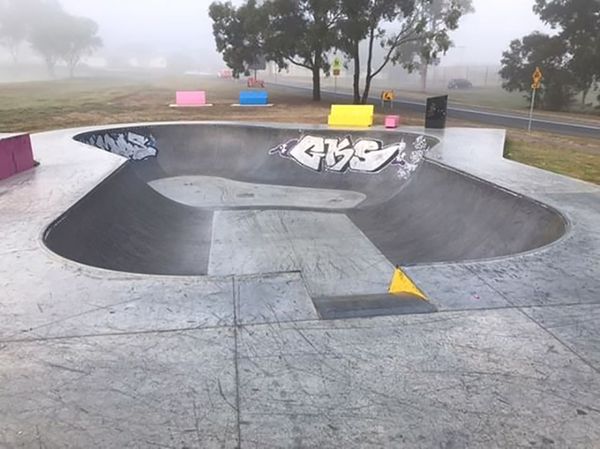 East Maitland New Park