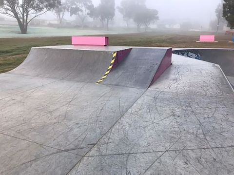 East Maitland New Park photo 4