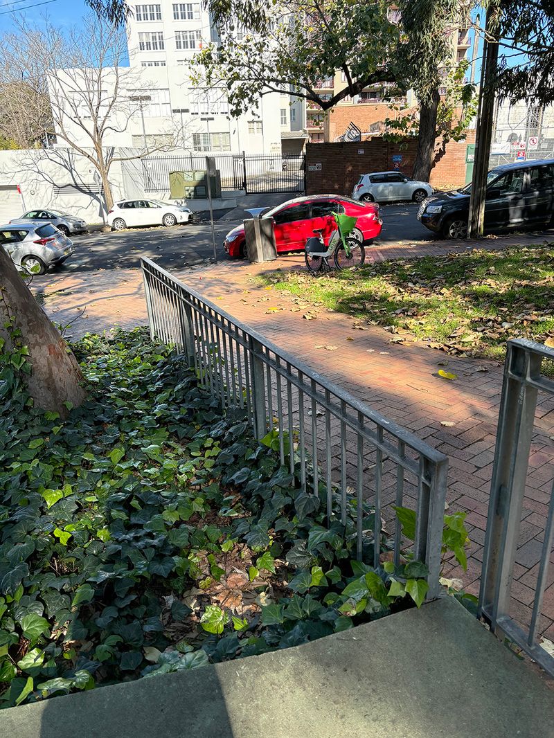 Ward Rail 