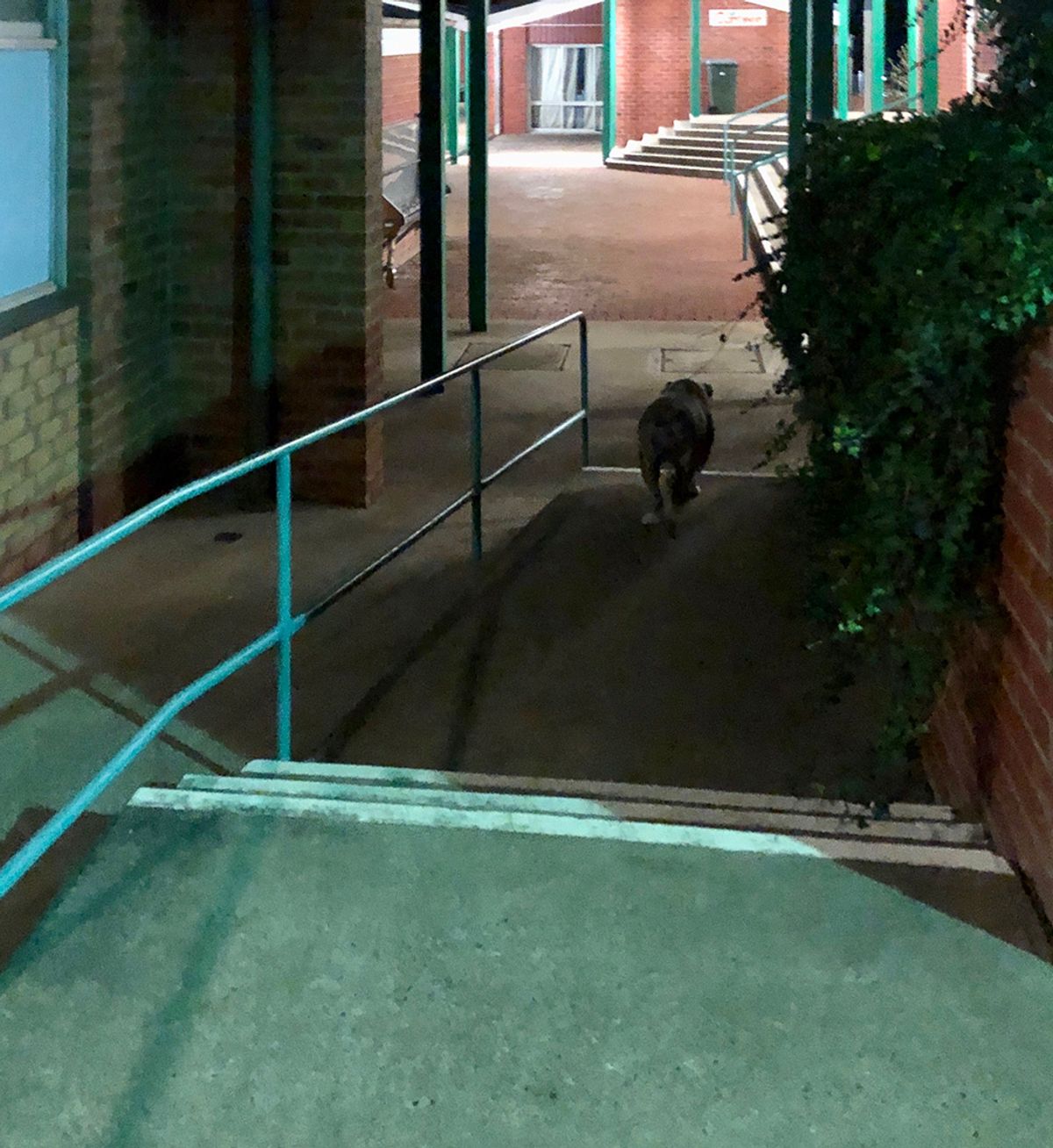 Primary Rail skate spot