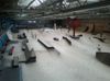 Area 51 Skatepark