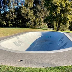 Elermore Vale Bowl