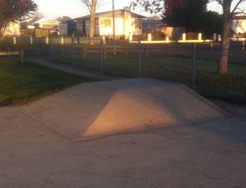 Elliot Park Skatepark 