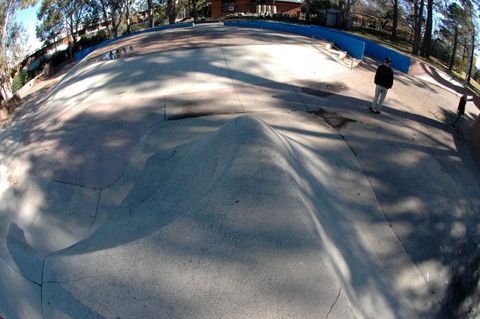 Erindale Banks photo 12
