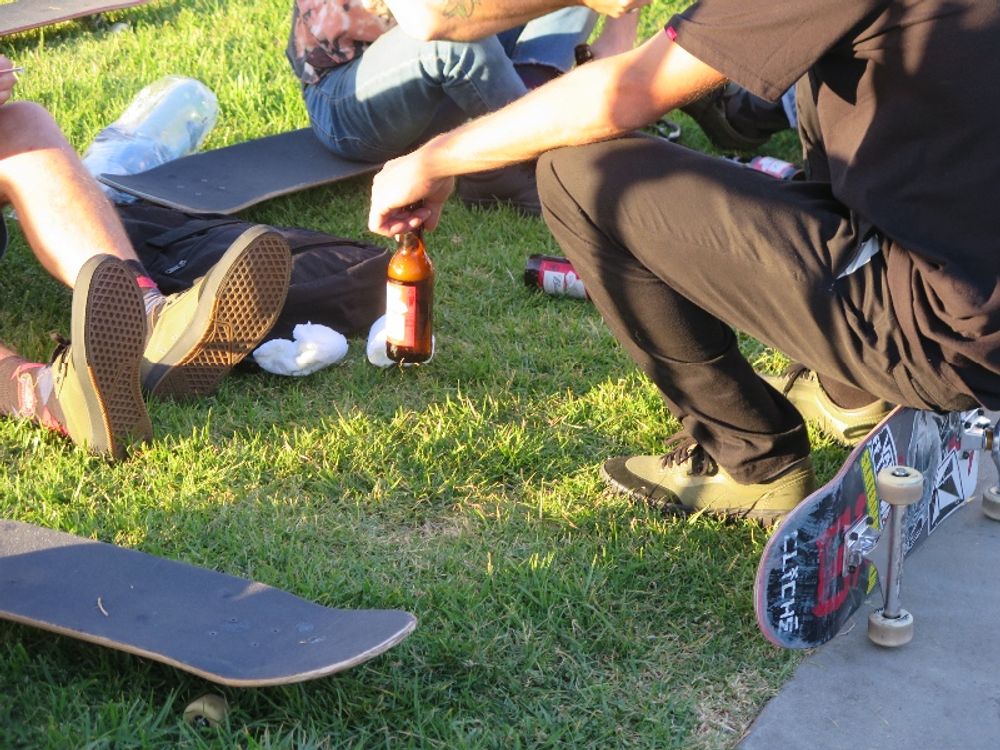 RE: Vans Gilbert Crockett Wear Test