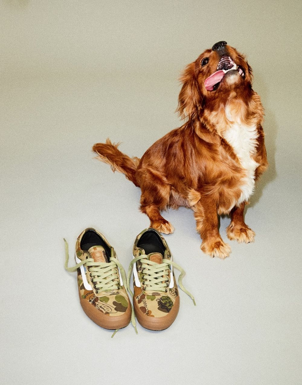 RE: Vans x Supply Chima Pro 2