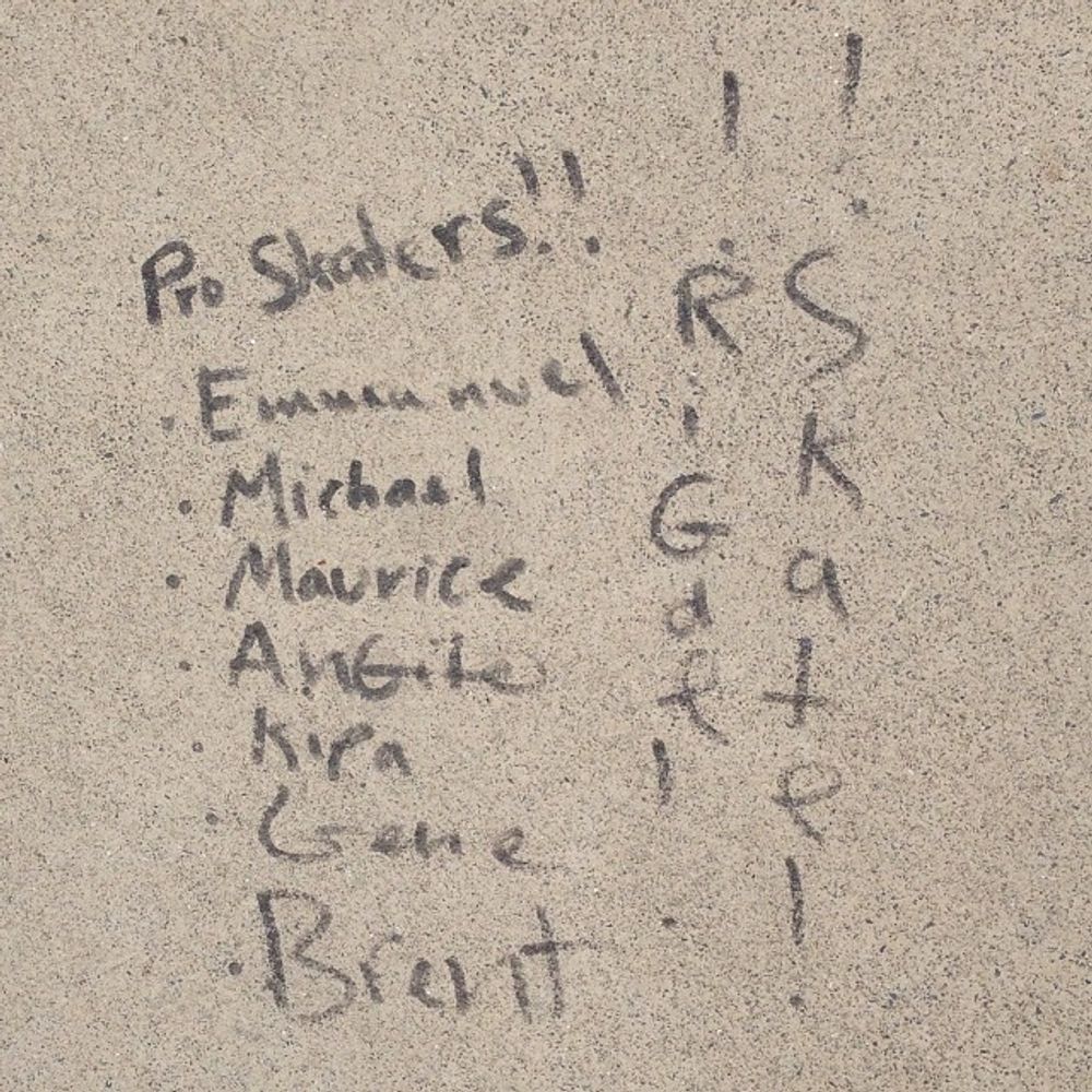 These are the pro skaters at #