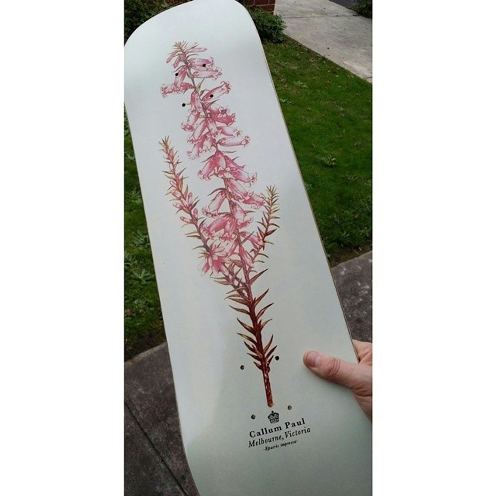 Callum's pretty pro board. #sb