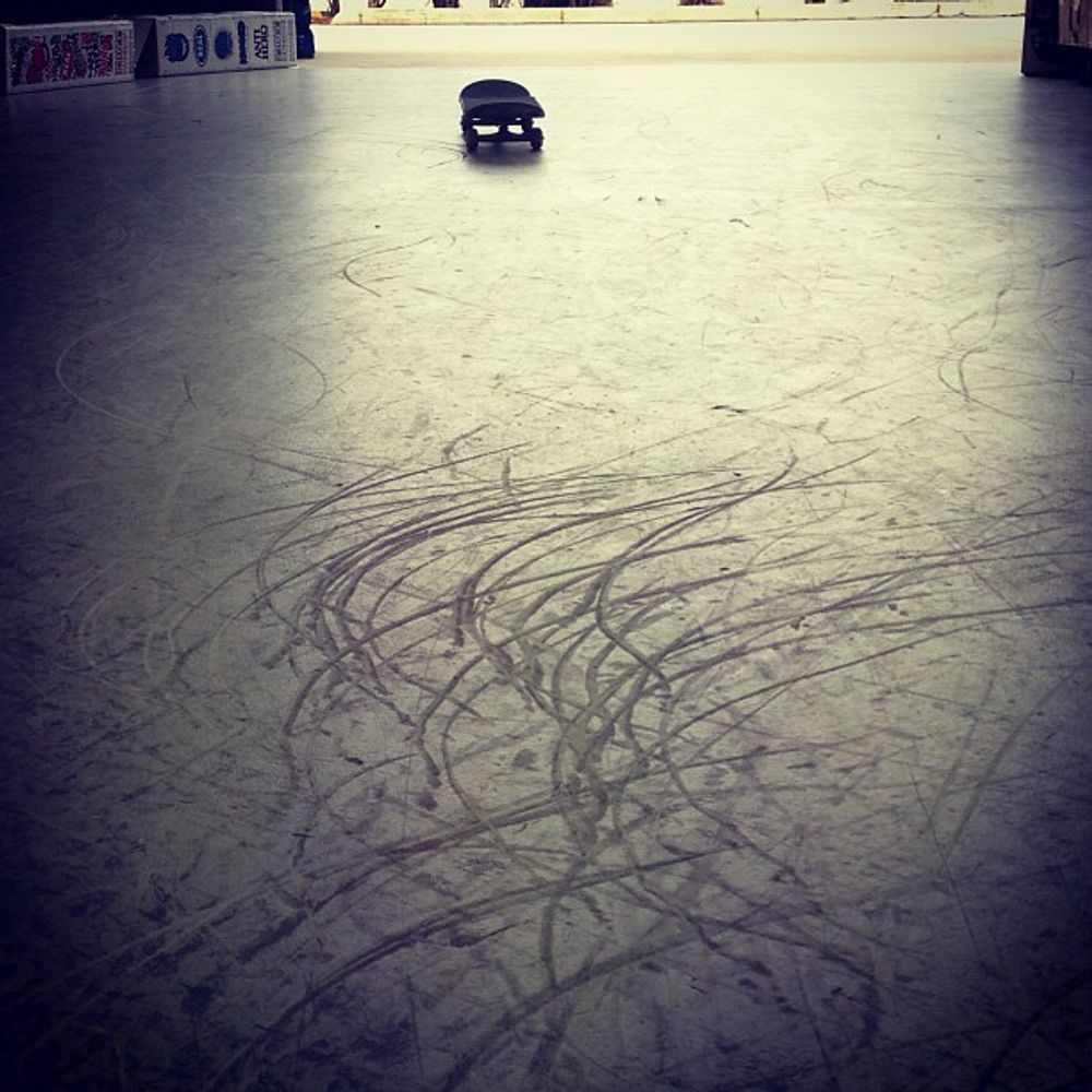 Working hard for new tricks. #