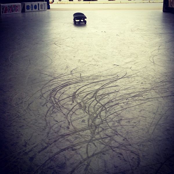 Working hard for new tricks. #