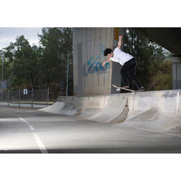 Alessandro Cesana / backside t