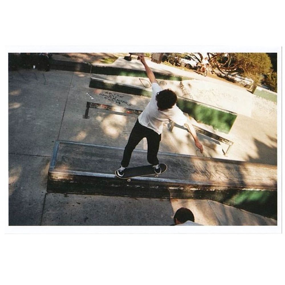 @treestrong_ltb backside nose