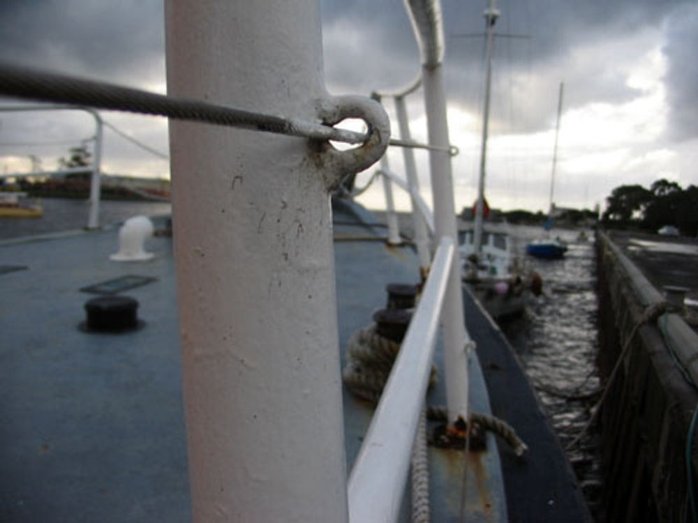 Miscellaneous Pictures