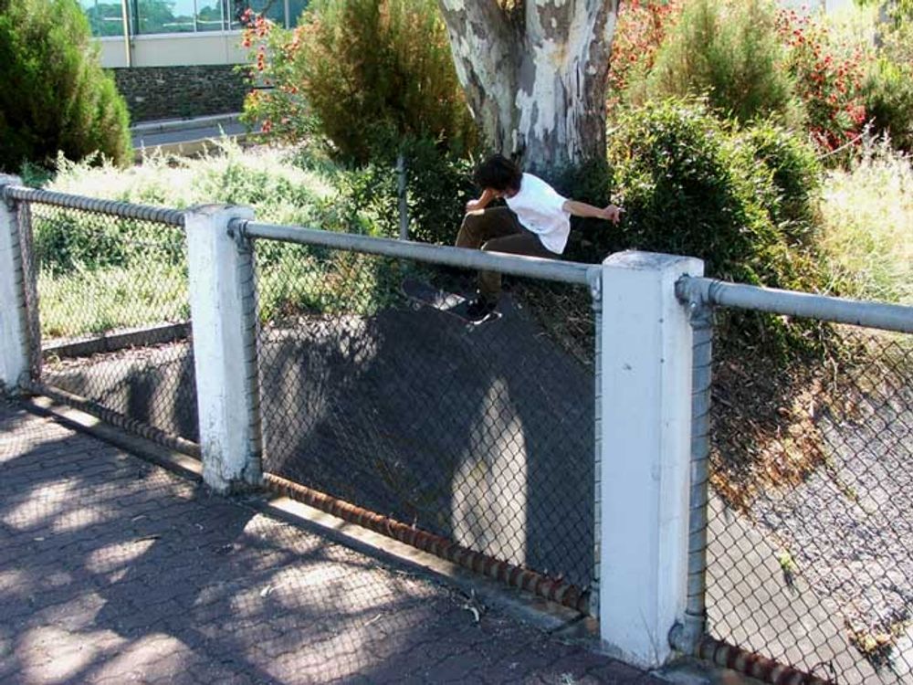 RE: ADELAIDE SKATERS TALK HERE!!