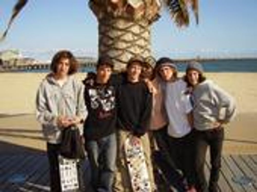 RE: TASSIE SKATERS TALK HERE!