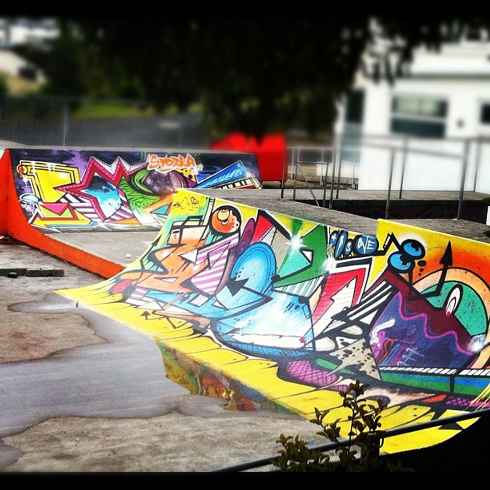 Paint your #miniramps #trsonez