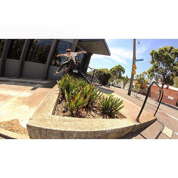 @harrrrrrl3y ollie warm ups #g