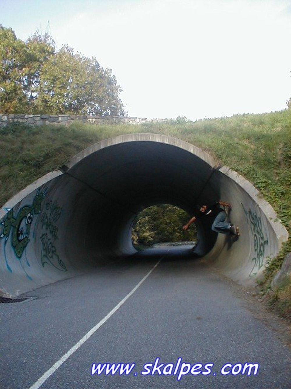 RE: Shit I would like to skate.