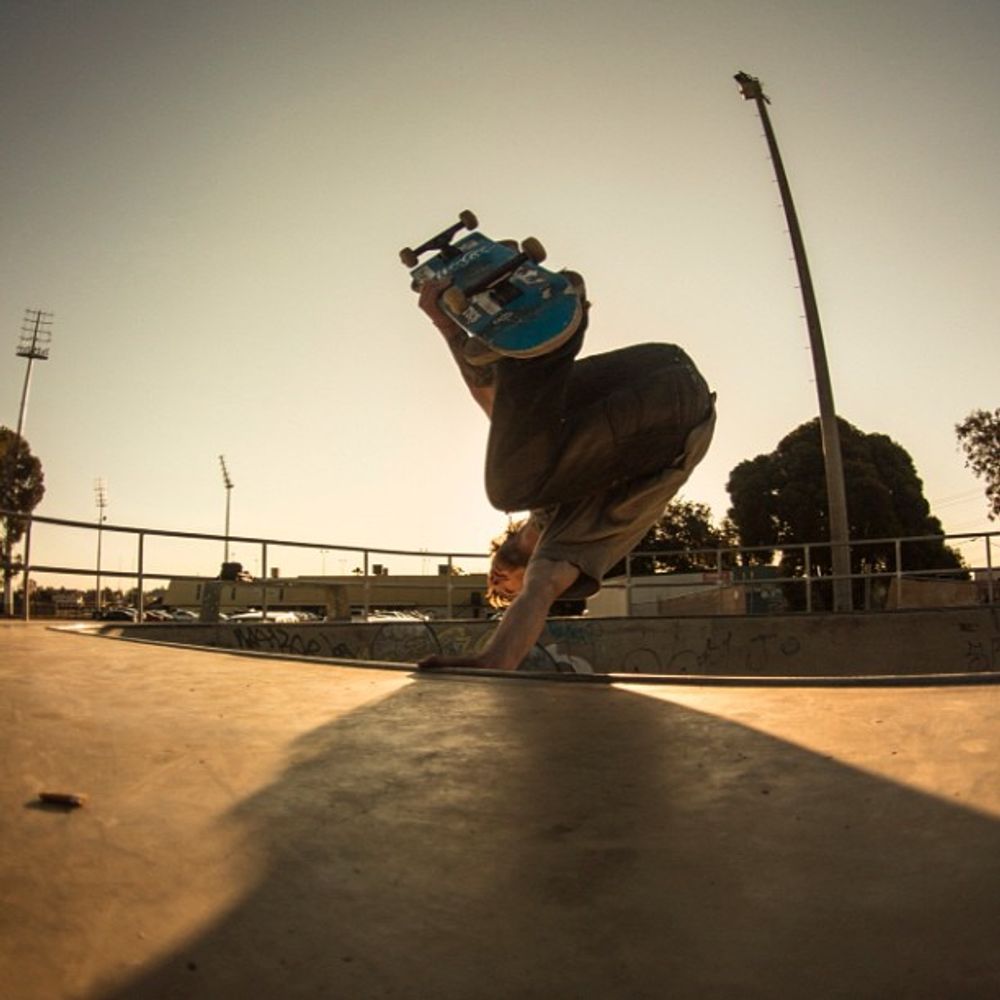 Afternoon hand plant photo by