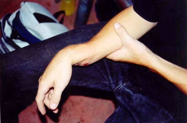 Miscellaneous Pictures