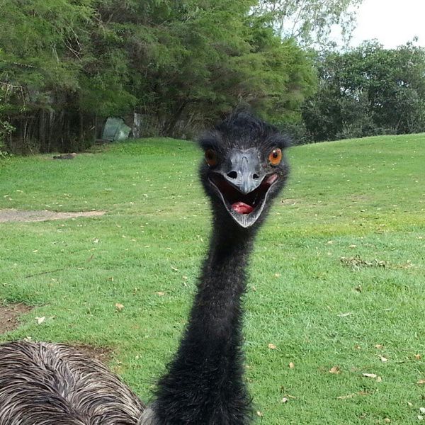 Hey! Heeeey! Hey!
