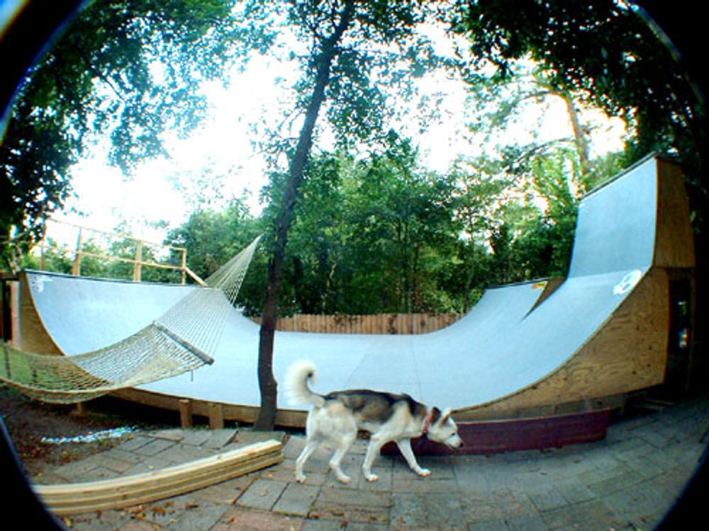 RE: Shit I would like to skate.