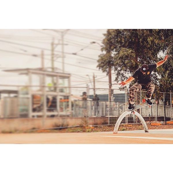 @thishodge crooks bonk at the