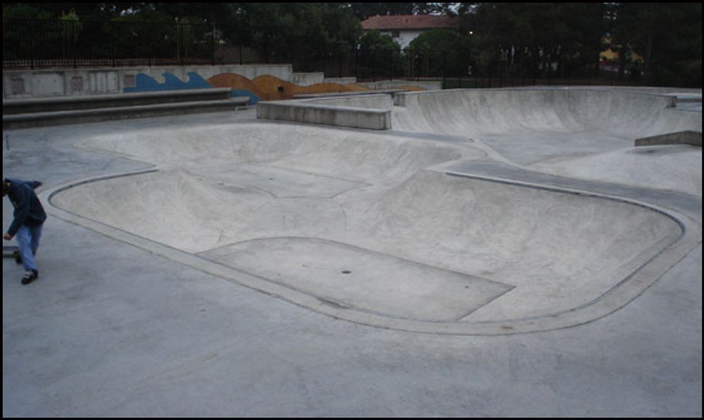 RE: Shit I would like to skate.
