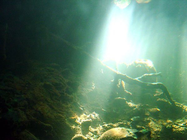 Miscellaneous Pictures