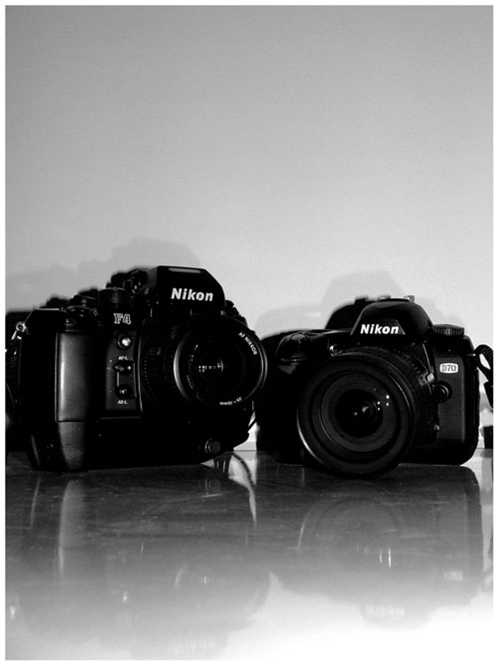 RE: Miscellaneous Pictures